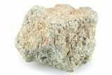 Martian Shergottite Meteorite ( g) - NWA #280947-1